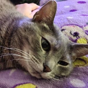 Meet your Posher, Brook